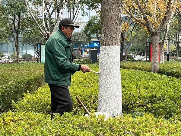 00927e8fc55c8bb7e2b5e8162db95aa 00927e8fc55c8bb7e2b5e8162db95aa