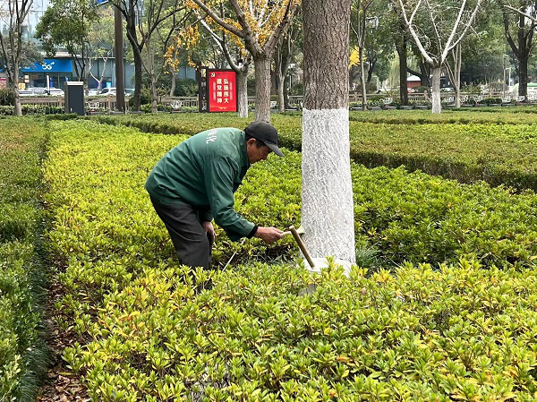 2b72ea6690e2db81a9161a45f870bb0 2b72ea6690e2db81a9161a45f870bb0